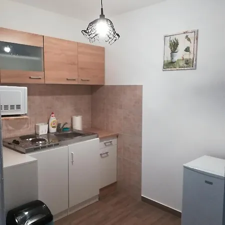 Cinege Vendeghaz Gæstehus Tolcsva