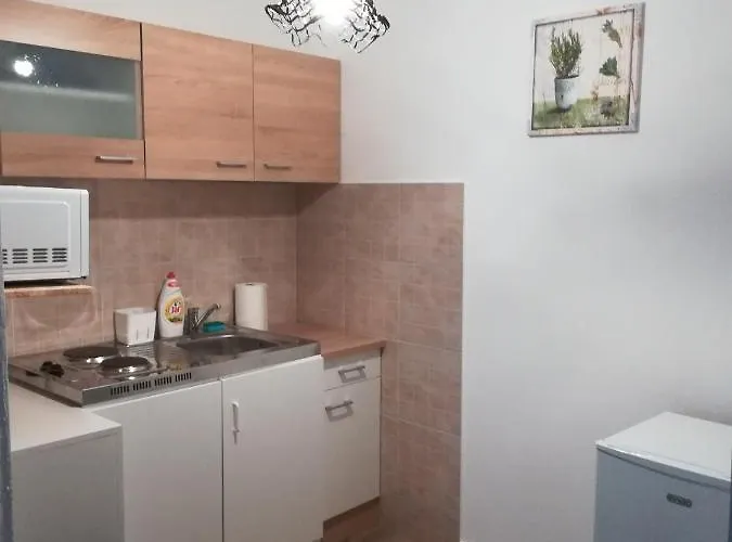 Cinege Vendeghaz Konukevi Tolcsva